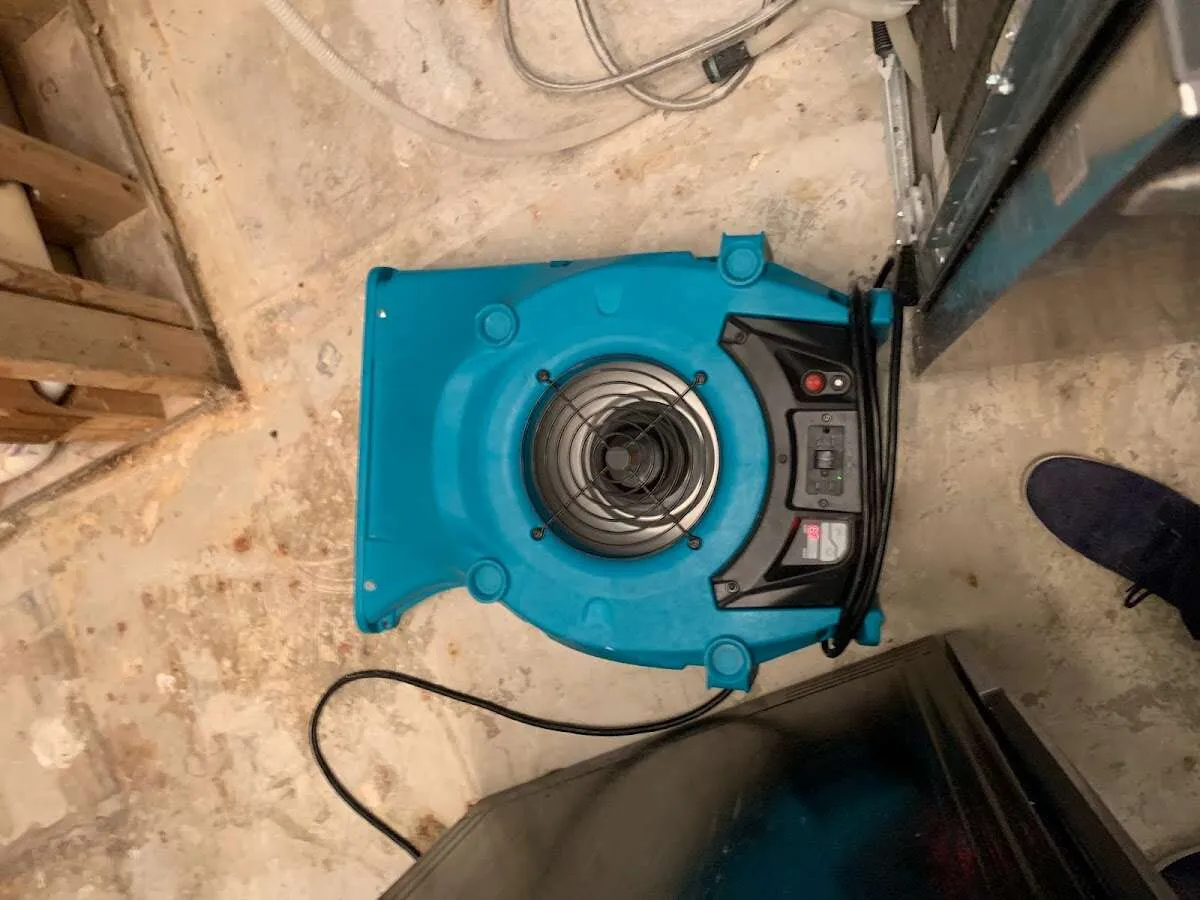 Air mover drying equipment for Mold Remediation & Removal in Minnetrista