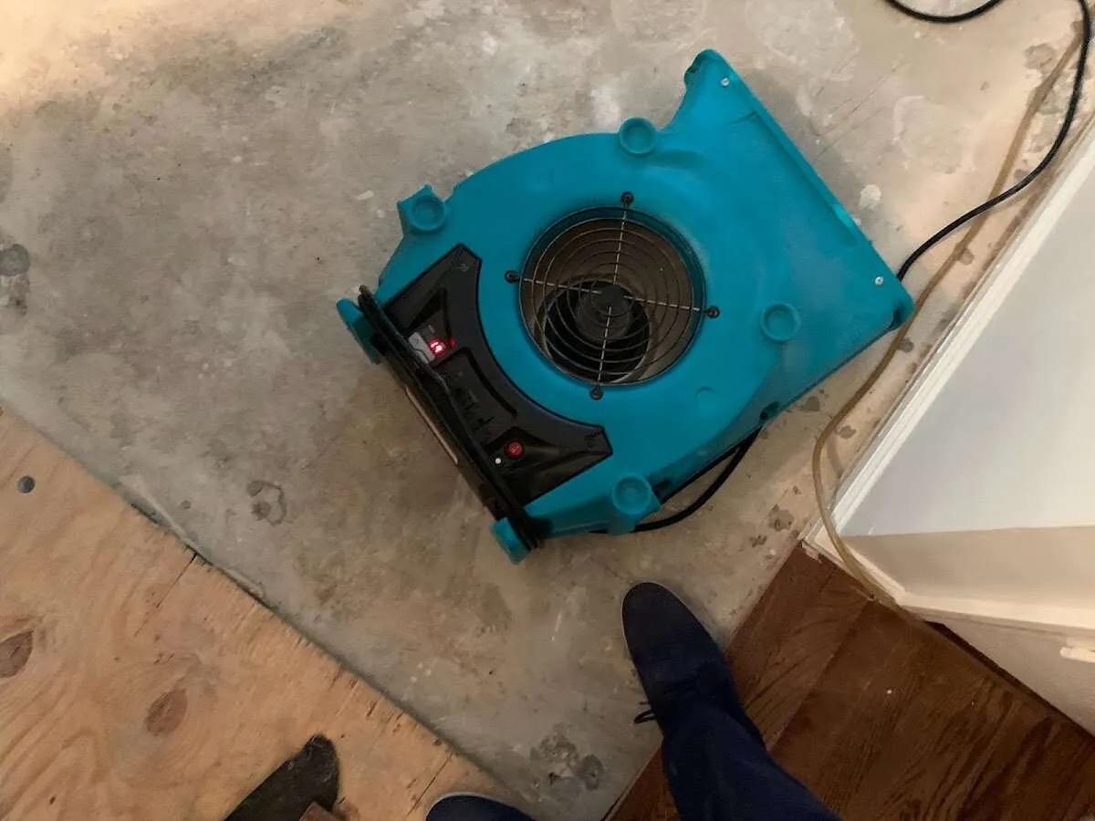 Air mover drying subfloor during Commercial Water Damage Restoration in Minnetrista